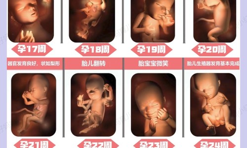 身上长会痒红点用药网—知名的身上痒红点用什么药网站,分享身上痒红点用什么药知识