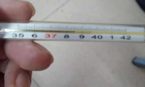 身上长了红点点痒吃什么药-身上长会痒红点用药网—知名的身上痒红点用什么药网站,分享身上痒红点用什么药知识